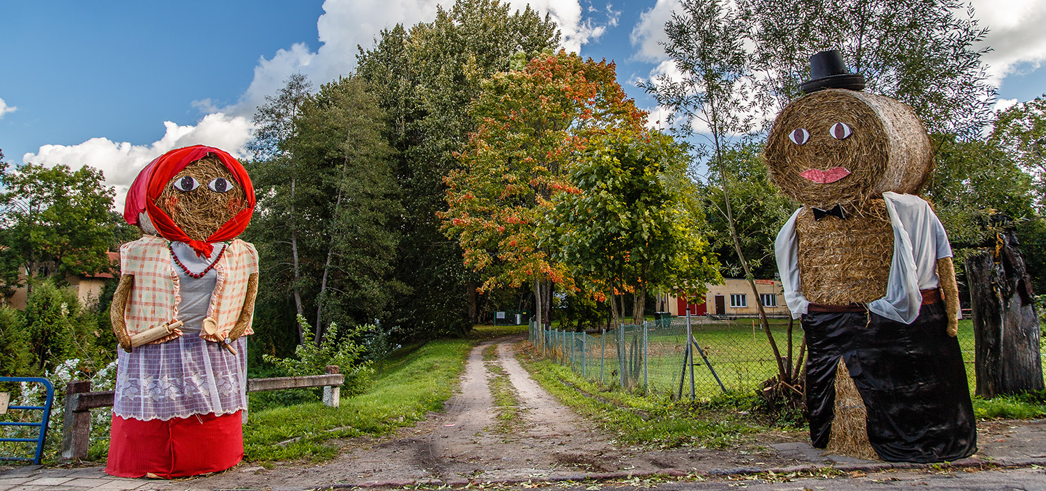 Modele aktywności lokalnych organizacji społecznych
